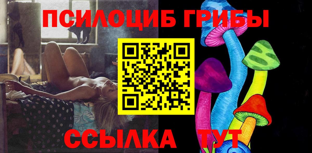 купить закладку  Псилоцибиновые грибы Psilocybe  Вход с VPN  Псилоцибиновые грибы мухоморы  Анжеро-Судженск 